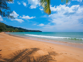 Fototapeta na wymiar Uninhabited tropical beach with coconut palm and pine trees