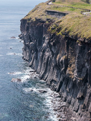 제주 송악산 봄풍경