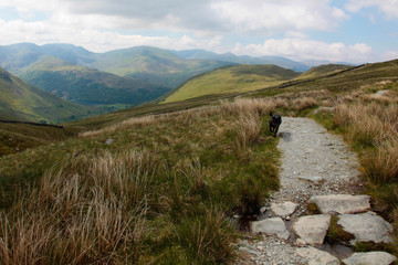 Lake District National Park, England, United Kingdom 