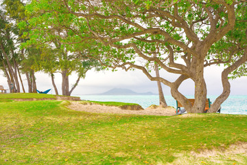 Fototapeta na wymiar Empty Kailua Beach park along ocean on Oahu, Hawaii island