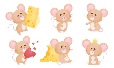 Cartoon Mouse with Big Ears and Long Tail Wearing Crown and Holding Slab of Cheese Vector Set