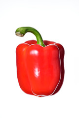 パプリカFood0033