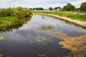 View of the lake water from the coast with trees and greenery, the horizon and blue sky with white clouds