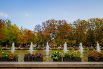 Ueno park in autumn