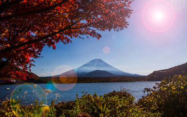 Autumn at Shojiko lake