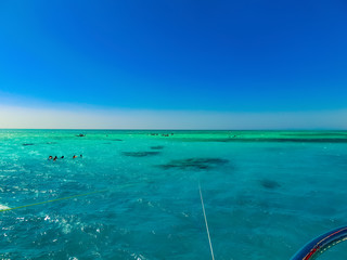Obraz premium The tourists in Ras Mohamed National Park