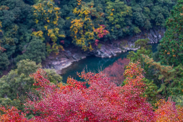Arashiyama autumn view