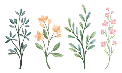 Floral Twigs and Branches with Tender Flower Buds and Leaves Vector Set