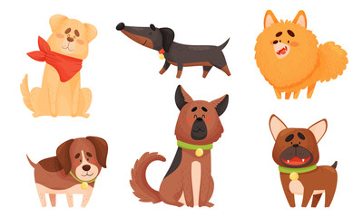 Funny Dogs in Sitting and Standing Poses Vector Set