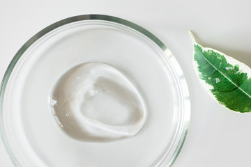 Fototapeta na wymiar Close-up transparent shampoo gel smudge in glass petri dish and leaf on white background. Concept making natural organic cosmetics. Purity facial cleanser, peeling or shower gel