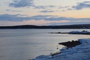 Spring landscape with sea