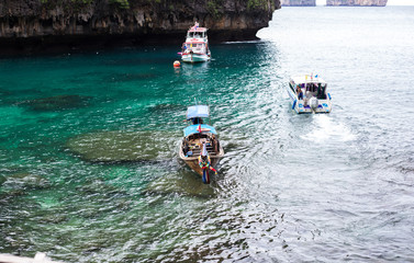 thailand, phi phi islands, viking cave, wildlife, blue water, emerald water, travel, weekend,...