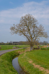 Road near a ditch in spring
