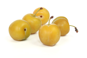 Prune Reine Claude	