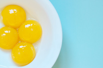 Chicken eggs yolks in the white bowl on the blue background. Close up