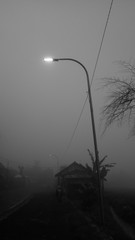 Obraz premium fog on the road. black-white photo Street lights on a foggy road.