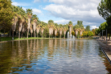 Fototapeta na wymiar Pond in park with palm trees and copy-space