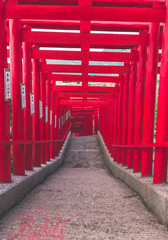 Red torii gates by the sea