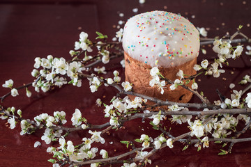 Beautiful round Easter cake. Confectionery covered with sweet glaze and white flowers on twigs.