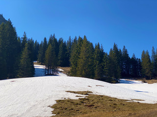 The early spring atmosphere with the last remnants of winter and snow in the Eigental alpine...