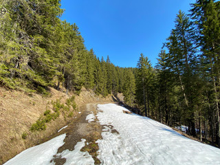 The early spring atmosphere with the last remnants of winter and snow in the Eigental alpine...