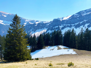 The early spring atmosphere with the last remnants of winter and snow in the Eigental alpine...