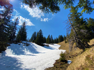 The early spring atmosphere with the last remnants of winter and snow in the Eigental alpine...