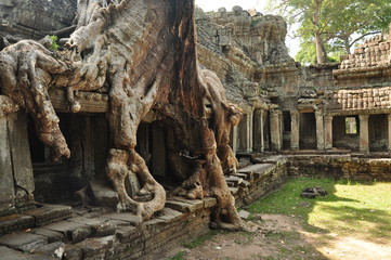 Fototapeta premium Cambodia Angkor Wat Journey