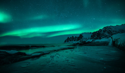 Fototapeta na wymiar polar lights also called northern lights or aurora borealis in northern norway during winter above a fjord and snow covered mountains