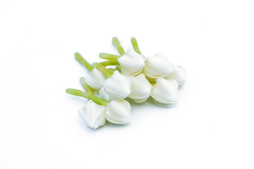 Fototapeta na wymiar White gardenia flower isolated on white background.