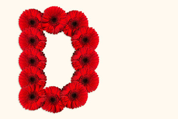 Letter D Daisy flower alphabet on isolated background. Decorative Floral Letter