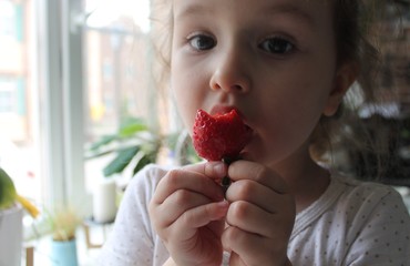 A little girl with brown eyes and curly hair is eating red strawberries. Fresh fruits and berries...