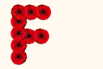 Letter F Daisy flower alphabet on isolated background. Decorative Floral Letter