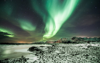 Fototapeta na wymiar polar lights also called northern lights or aurora borealis in northern norway during winter above a fjord and snow covered mountains