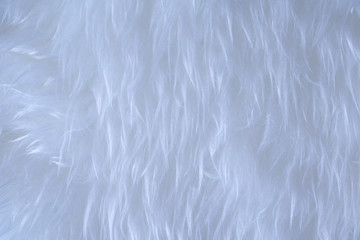 Close up White wool on the table