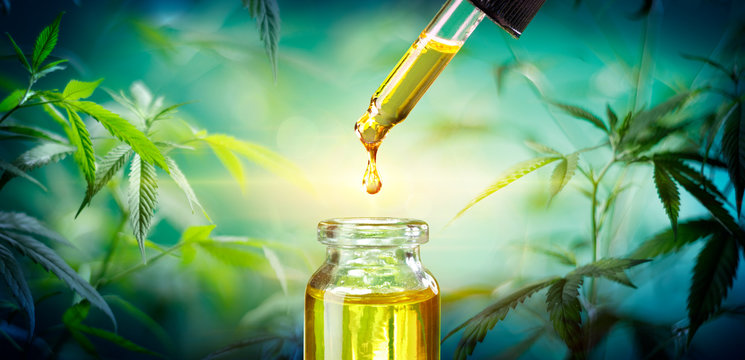 Hemp Oil - Medical Marijuana Products - Cbd And Hash Oil - Alternative Medicine
