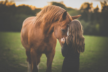 Cute little girl with her horse on a lovely meadow lit by warm evening light - Powered by Adobe