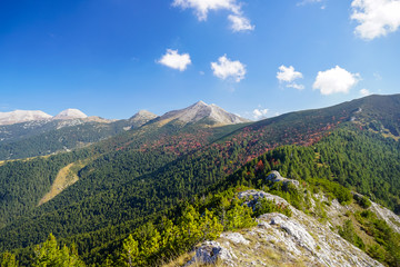 View towards the main ridge of Pirin mountain in Bulgaria with Sinanitsa, Vihren and Koncheto peaks and autumn forest below them 
