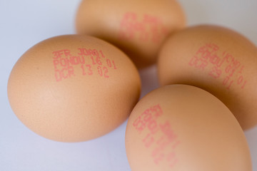 Oeufs sur fond neutre blanc