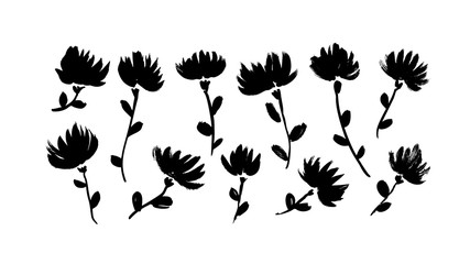 Spring flowers hand drawn vector set. Black brush flower silhouettes. Ink drawing wild plants, herbs or flowers