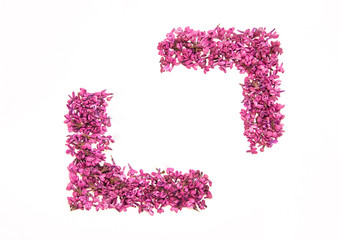 Lilac purple frame made of flowers card on white background 