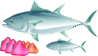 Fresh Tuna Fish and fillet meat background vector
