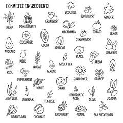 Cosmetic ingredients. Hand-drawn icons of herbs, fruits, vegetables, flowers, oils. Collection of vector icons.