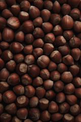 Hazelnut. Fresh organic filbert. Nuts macro. Food background.