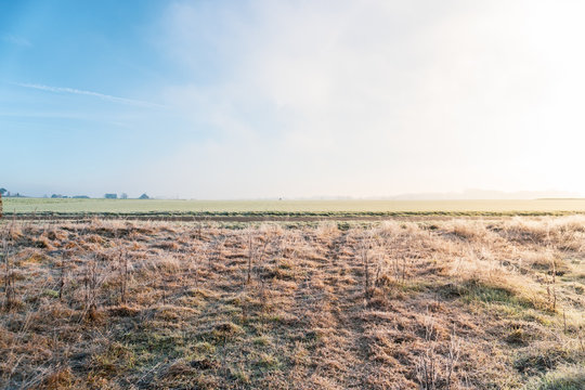 Zuckerguß Bilder – Durchsuchen 2,654,652 Archivfotos, Vektorgrafiken ...