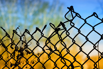 Close-up of an old metal mesh fence against a blue sky