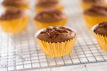 Chocolate raspberry cupcakes