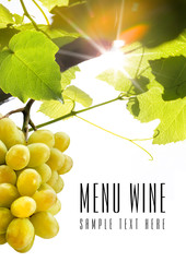 Menu wine design - isolated text