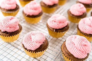 Chocolate raspberry cupcakes