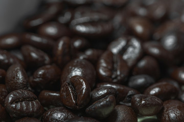 Coffee beans004
